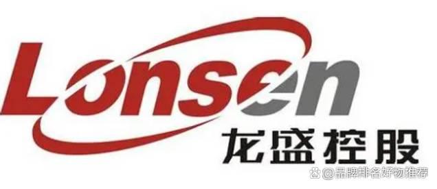 龍盛控股